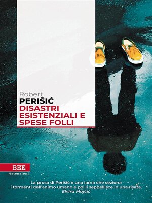 cover image of Disastri esistenziali e spese folli